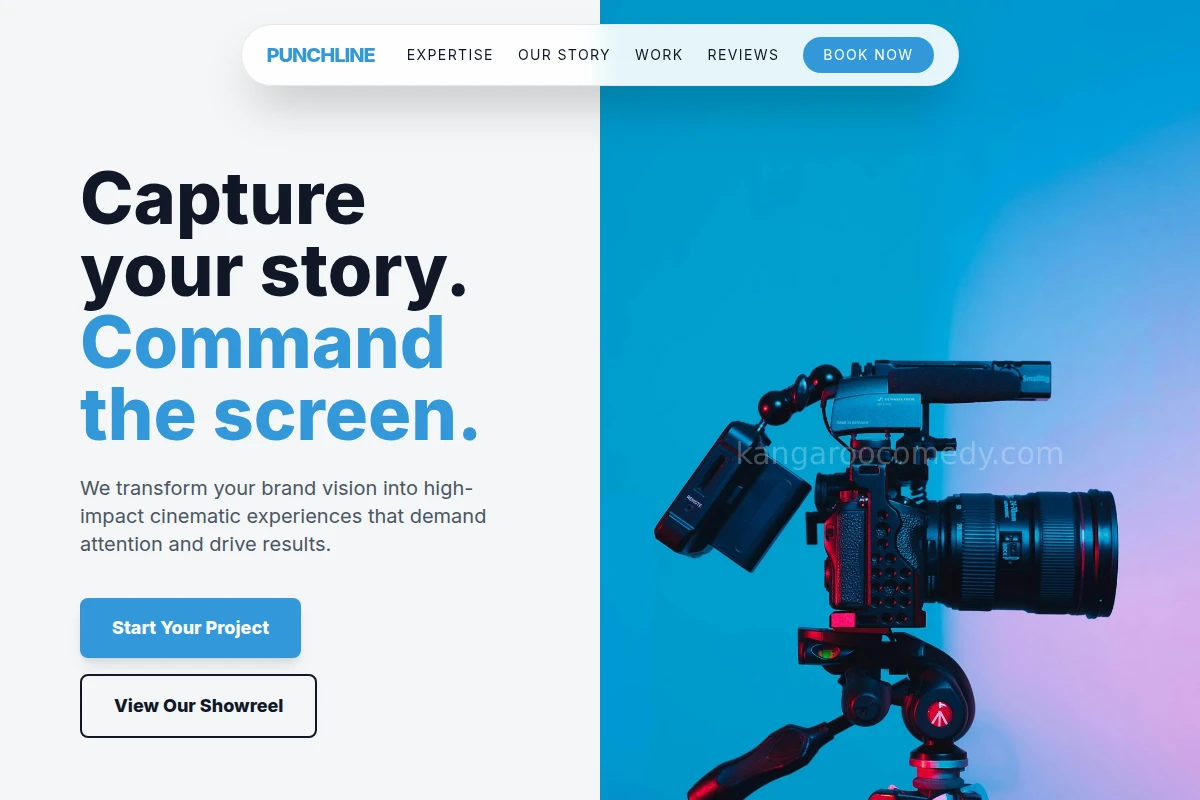 Punchline Video Production